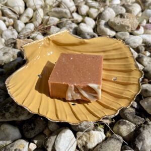 Porte-savon Minimaliste
